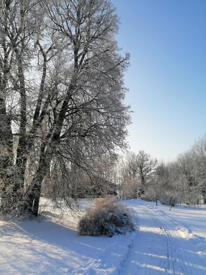 Apartament Country House Podini Mālpils Zewnętrze zdjęcie