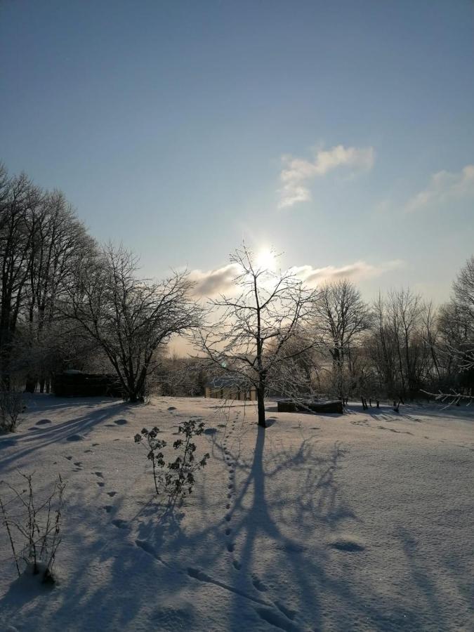 Apartament Country House Podini Mālpils Zewnętrze zdjęcie