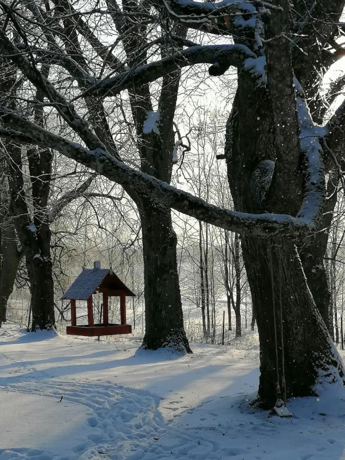 Apartament Country House Podini Mālpils Zewnętrze zdjęcie