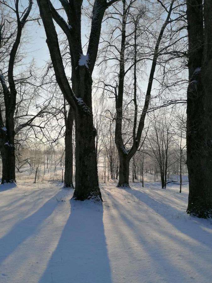 Apartament Country House Podini Mālpils Zewnętrze zdjęcie