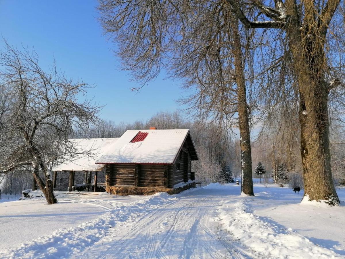 Apartament Country House Podini Mālpils Zewnętrze zdjęcie